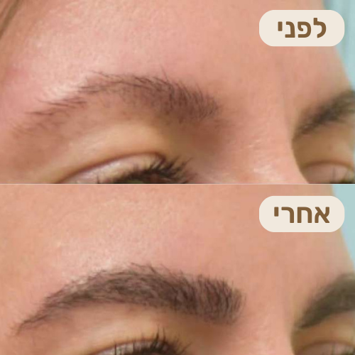 ביקורת לקוחה
